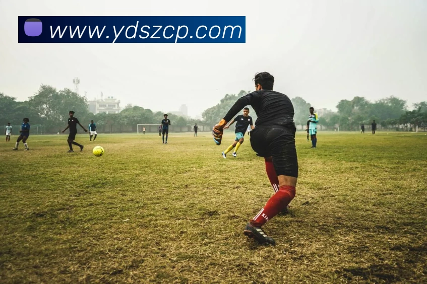 易倍emc官网登录发展历程